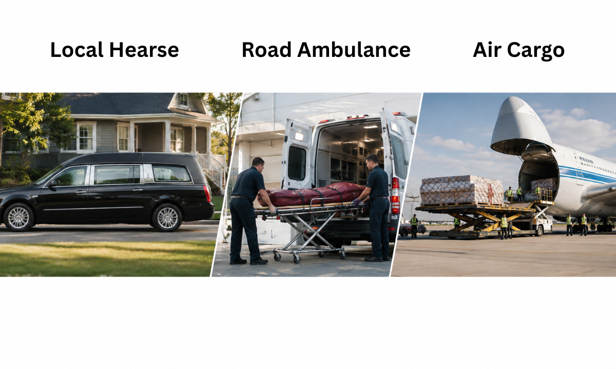 Choosing the Right Transport Option